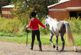 Actividades en pony para niños 